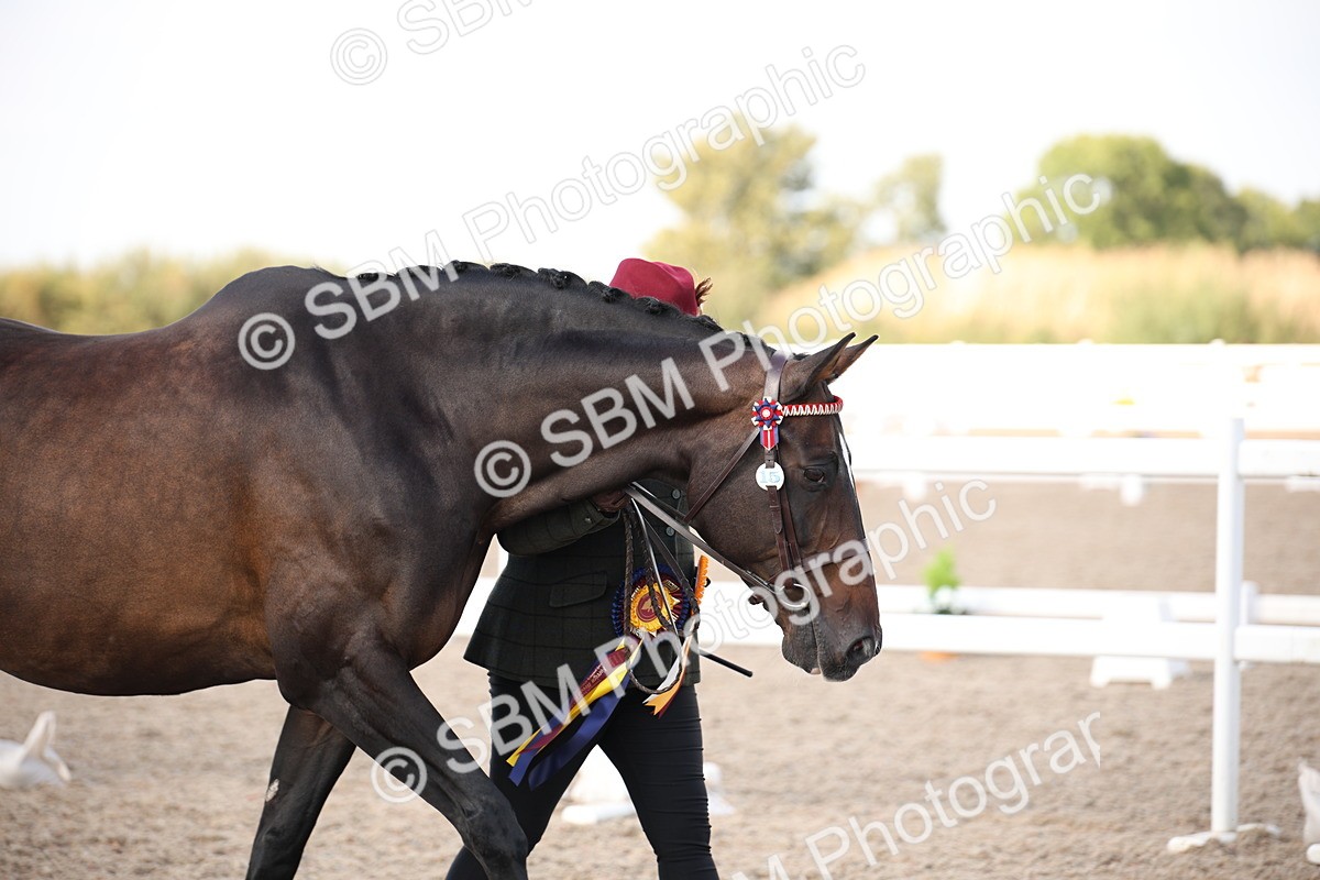 SBM_07149 - Class 25 IH Foreign Breeds- Pure bred