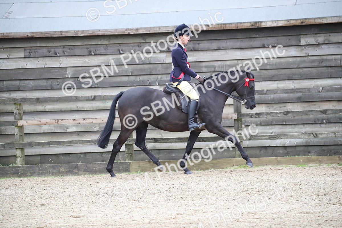 SBM_004725 - Class 5-9 - NPS In Hand-Show Hunter-Intermediate Ridden Inc Ridden Championship