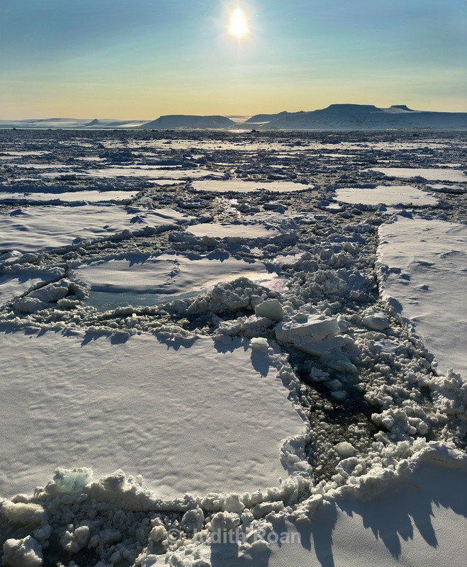 Svalbard Ice Floe - Svalbard, Norway 2023