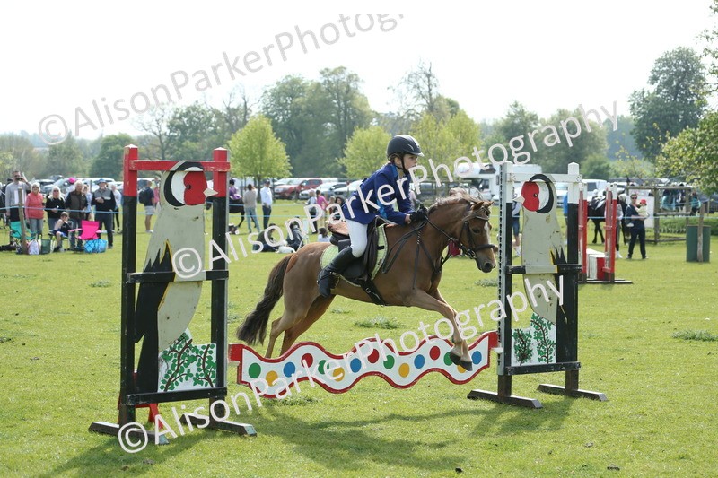 20260426-1580 - Class 14 - Novice 60cm