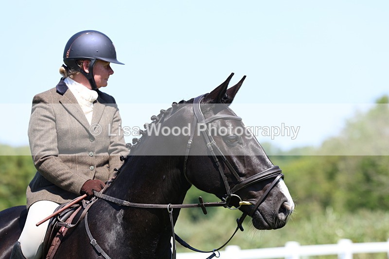 3E7A7352 - Class 30: Novice Working Hunter