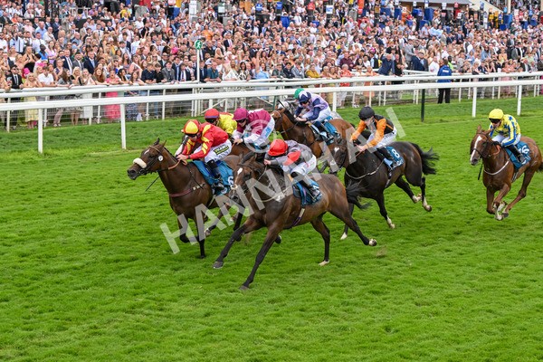 270724-Race 5-Theme Park-7415 - Race 5 4.35pm Sky Bet Prize Drop Handicap