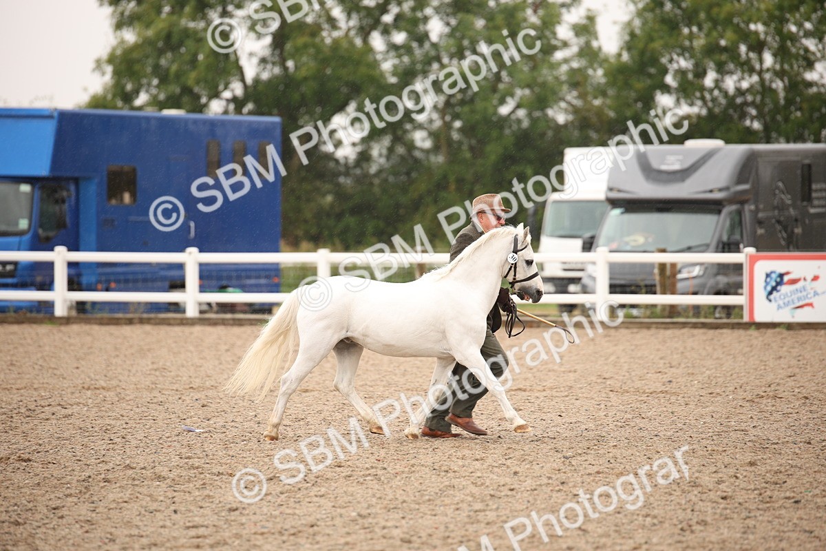 SBM_20707 - Class 705 - IH  Combination 65+