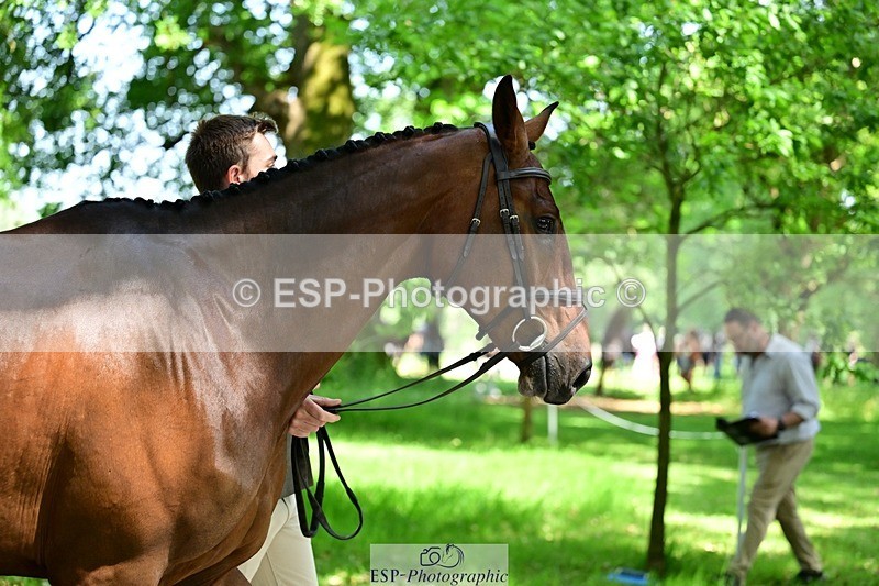 260527A-144205-00512 - C-381-Max.Warburton