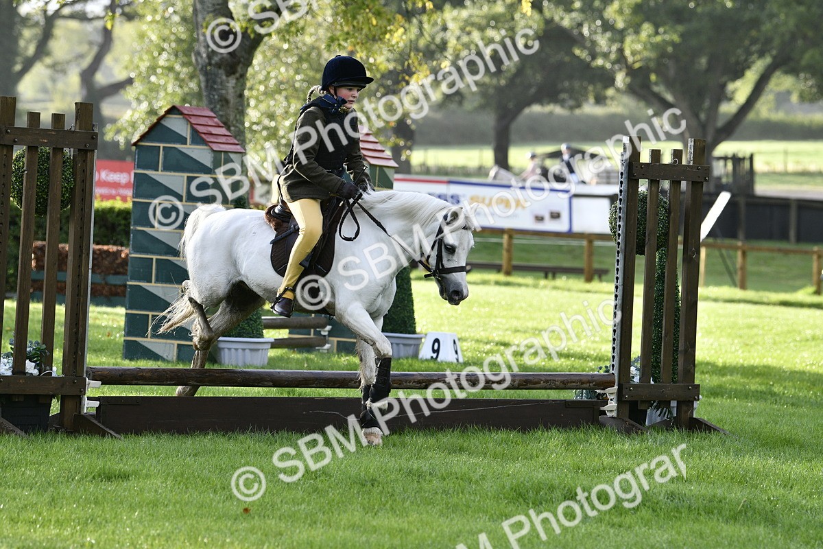 SBM_35404 - S30 - Nursery Stakes Working Hunter Pony