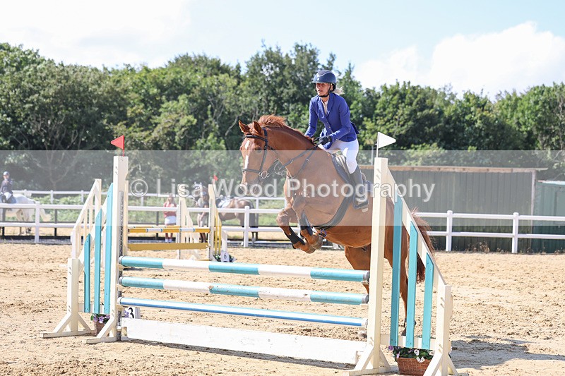 3E7A0947 - Class 4: Senior British Novice/90cm open
