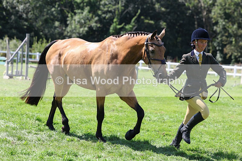 3E7A9083 - Class 6: Open Working Horse