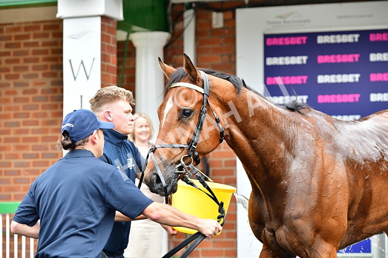 170625-Race 3-Blue Anthem-3855 - Race 3