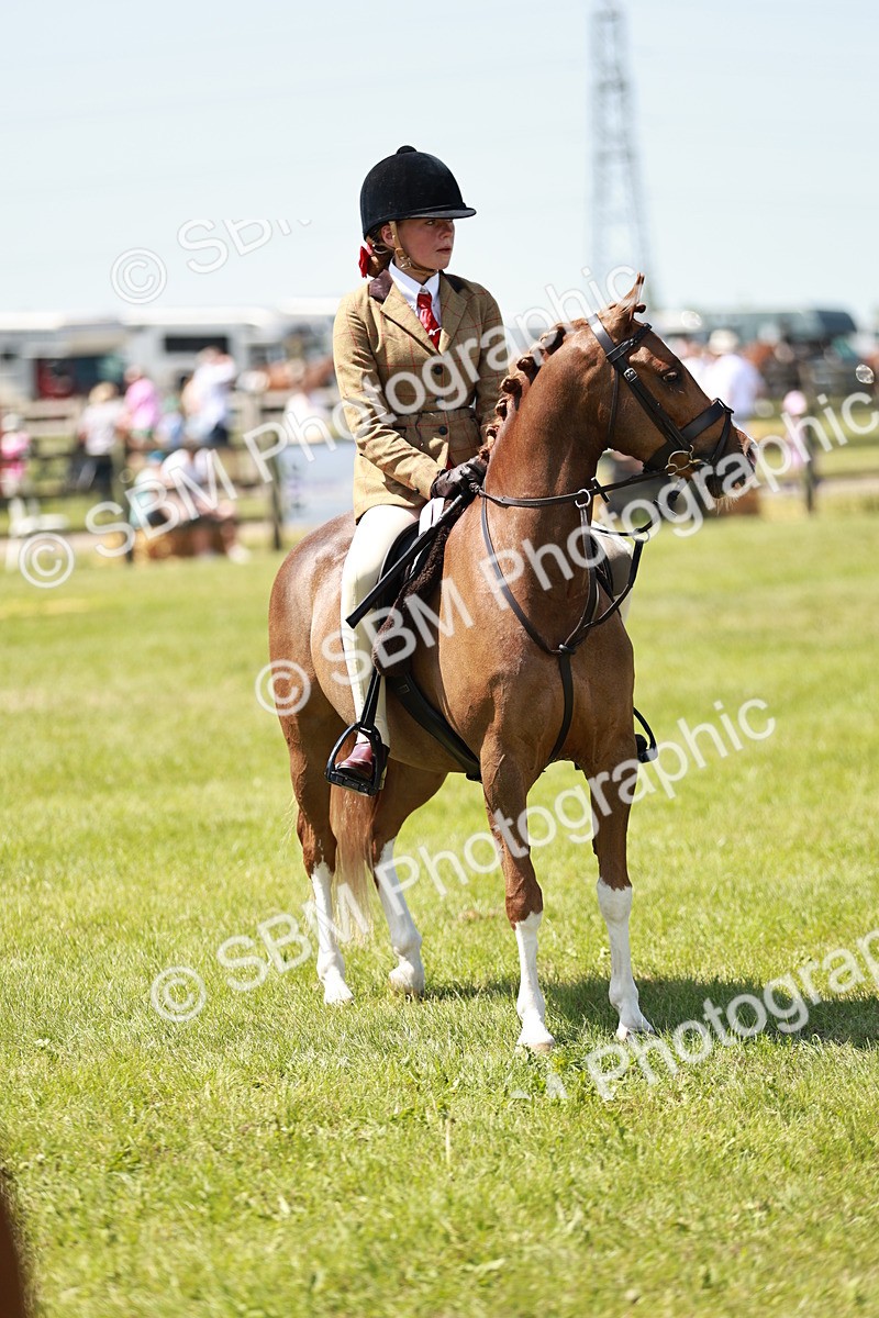 SBM_15736 - Class 108-109 - BSPS LIHS Open Gradle & Nursery Stakes