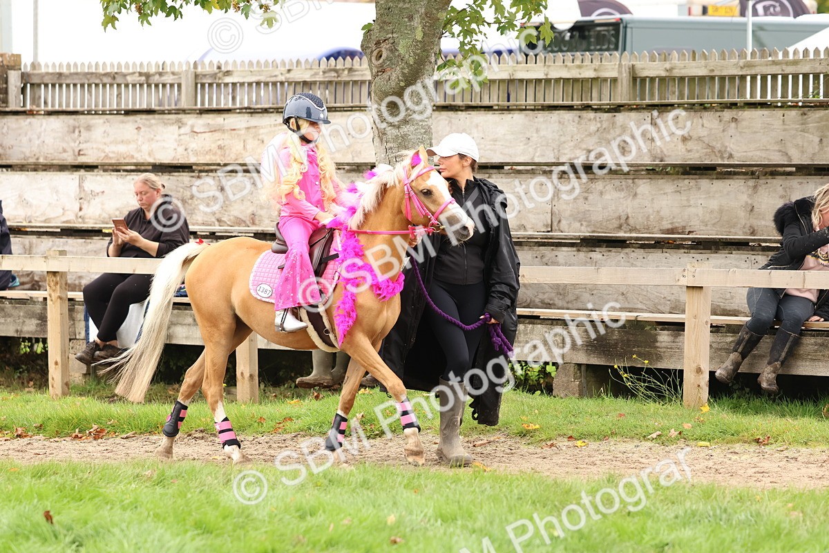 SBM_61629 - S37a - Fancy Dress Showing