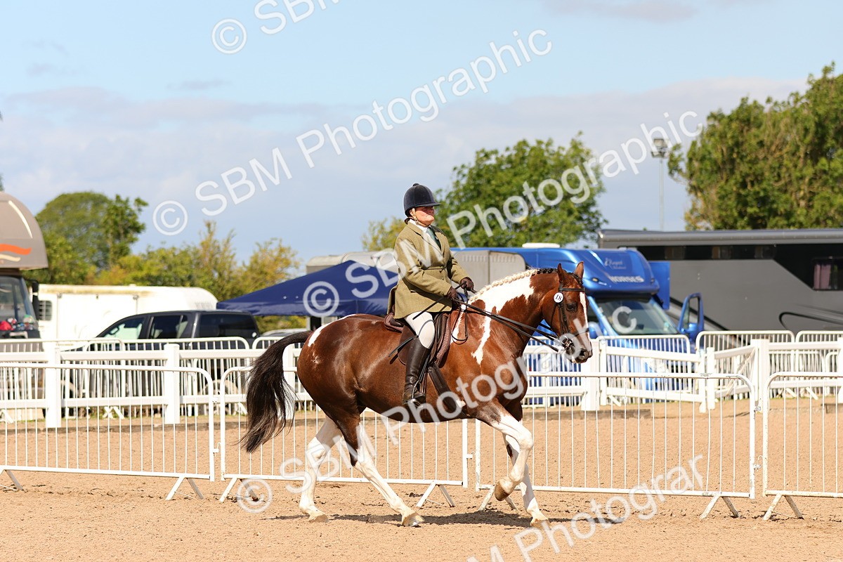 SBM_13195 - Class 211 - Ridden Hunter - Small