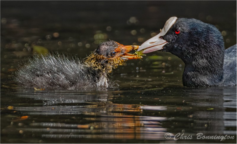Receiving a gift - Other nature