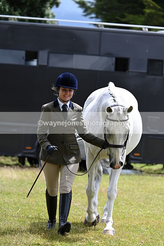 WJ7_6922 - Class 5a Most Handsome Gelding in Hand