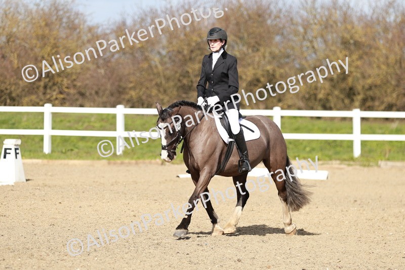 20260314-2950 - DR3 - Prelim 1