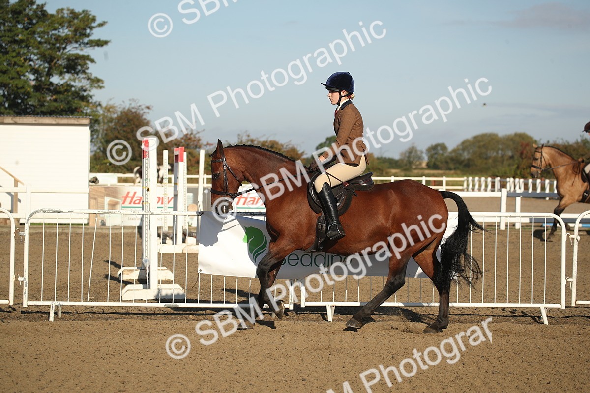 SBM_11544 - Class 502 - Riding Club Horse