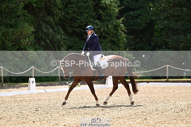 260802A-120136-06052 - Novice Silver break- end