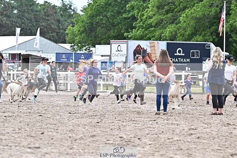 250524A-152836-12772 - East Devon Hounds