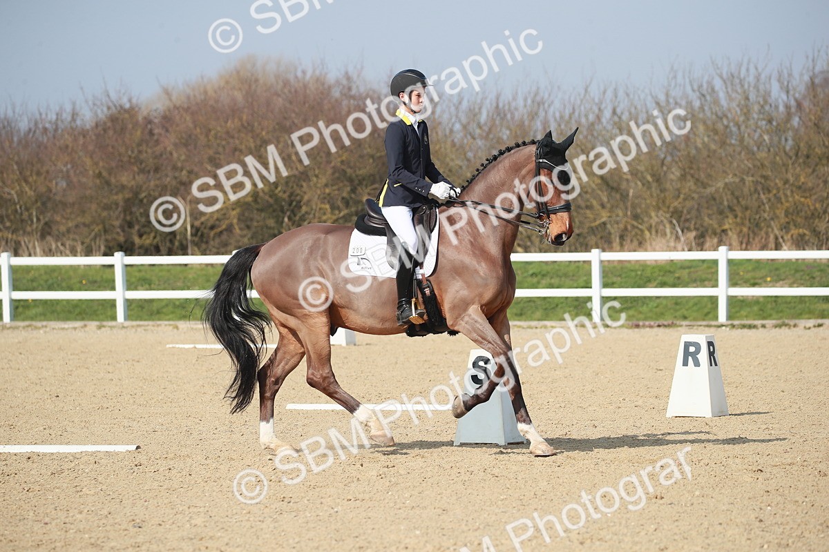 SBM_008350 - Class 22 - Medium 6