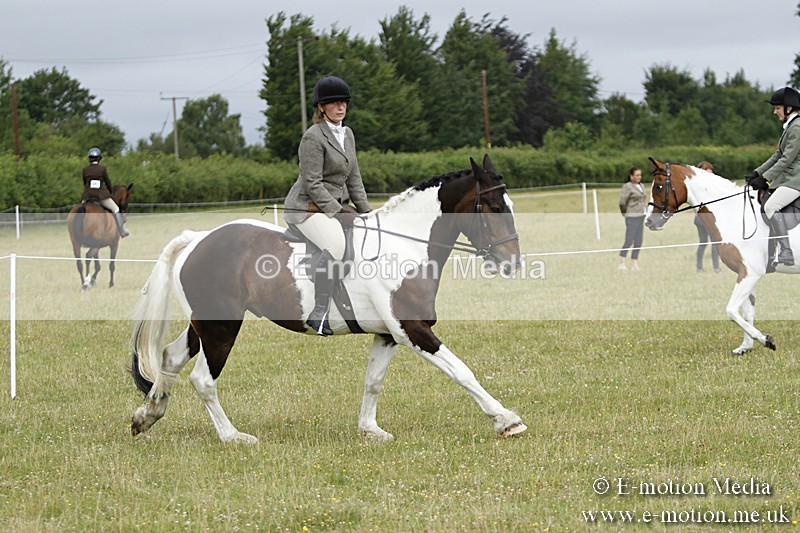 BVR160717-202 - Ring 3 BVRC Show 16/07/17