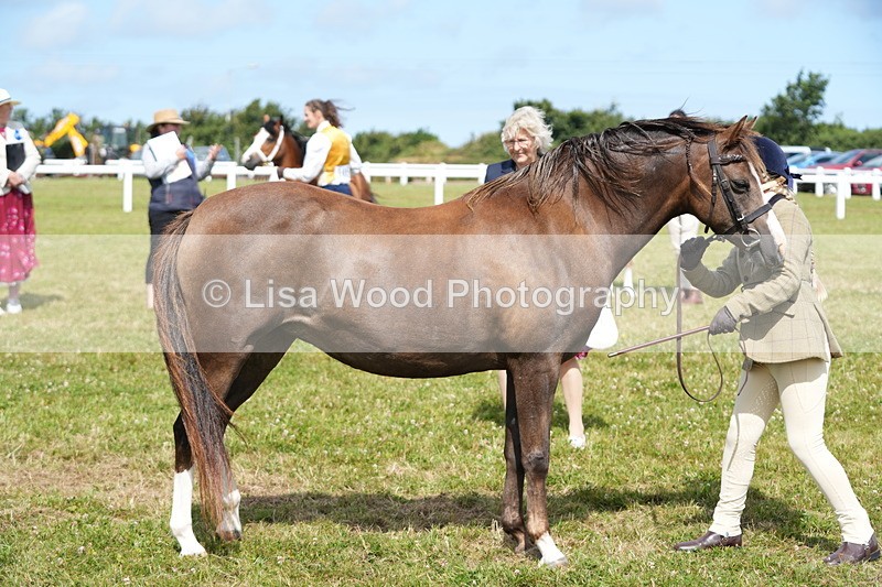 DSC05549 - Class 50: NPS M&M 4 years and over Small Breeds