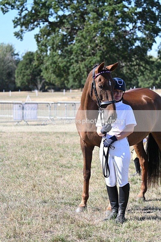 WJ7_1600 - Class 42 Most Handsome Gelding
