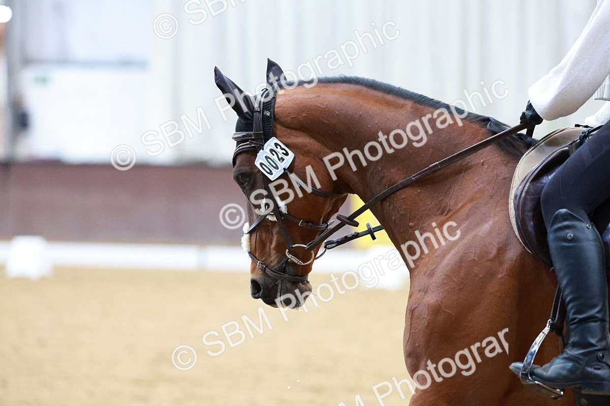 1I0A1033 - Class 3-6 - Prelim 1-Novice 2