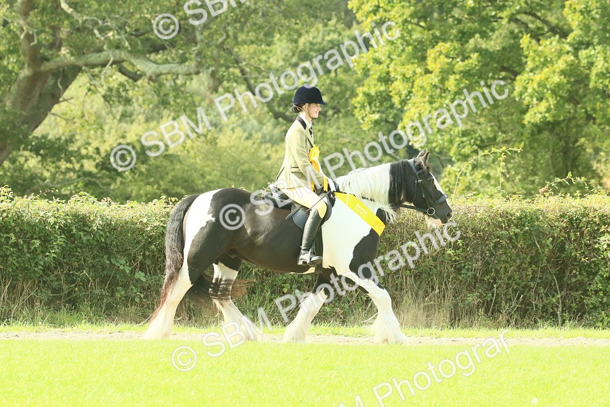 SBM_68997 - S58 - Mini Show Cob Ridden