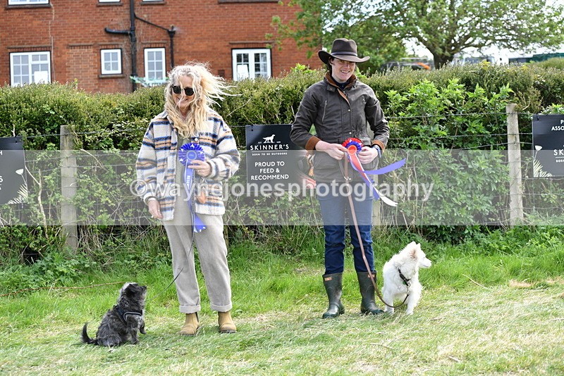 WJ5_0857 - Best in Show Championship