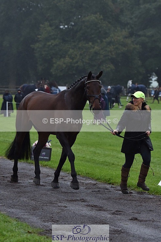 231018-120944-00107 - 012-ROMANY.CRICKET-Nana.Dalton-TrotUp