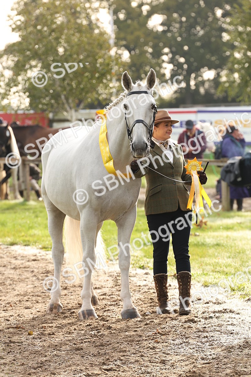 SBM_54730 - S53 - Hunter In Hand