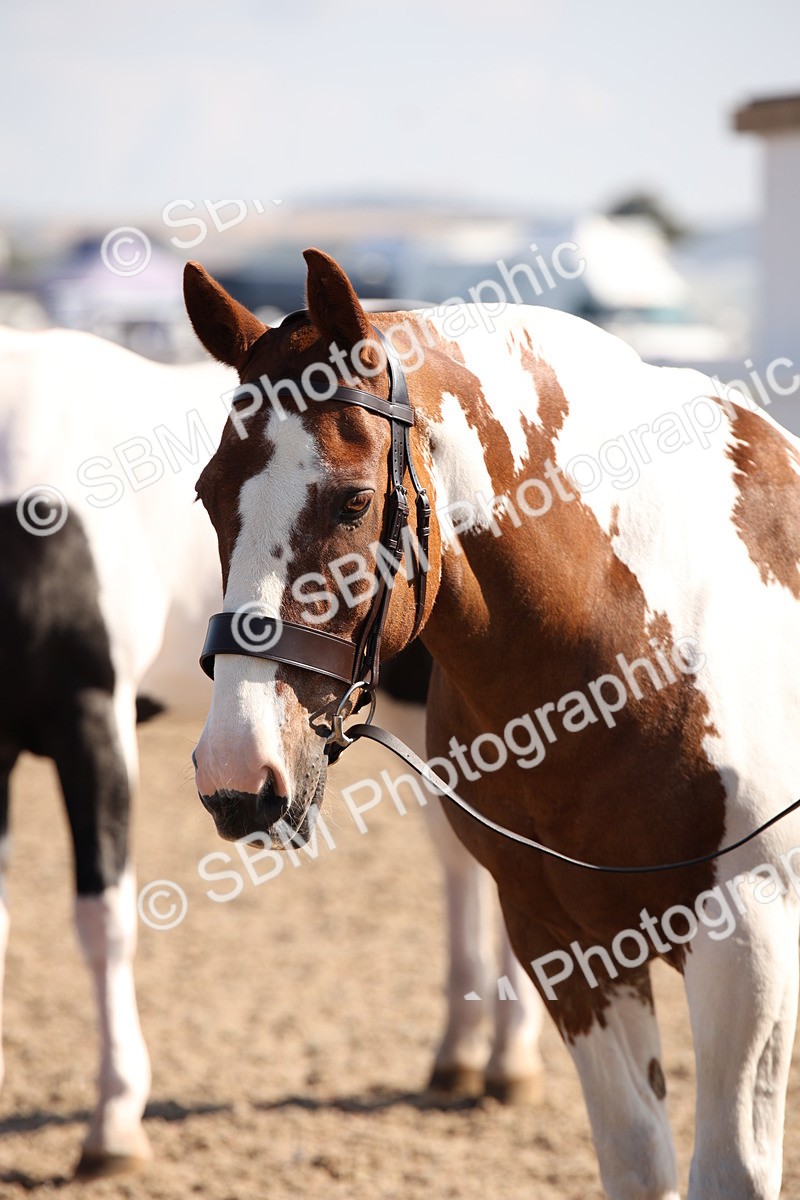 SBM_01542 - Class 15 IH Coloured