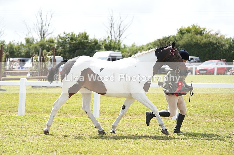DSC07191 - Coloured Horse In Hand Championship
