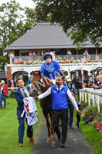 yr21082021r3-31 - Race 3 3.00pm Sky Bet City of York Stakes
