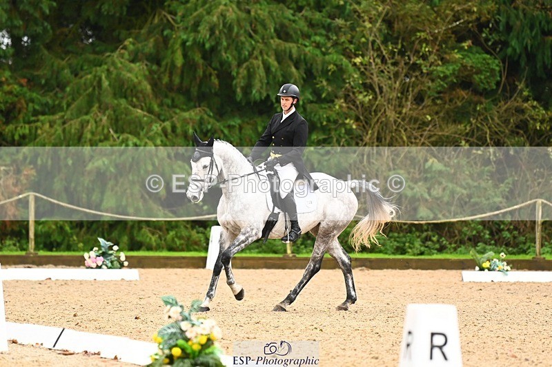 231021-122443-15136 - 348-KILMINGTON.FOLLY-Gubby.Leech-DR