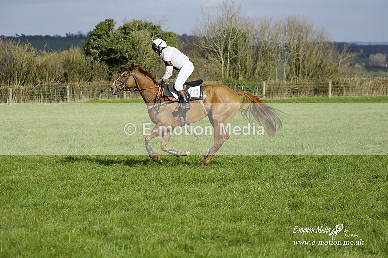 PtP 060322 440 - Blackmore & Sparkford Vale Hunt PtP 06/03/22