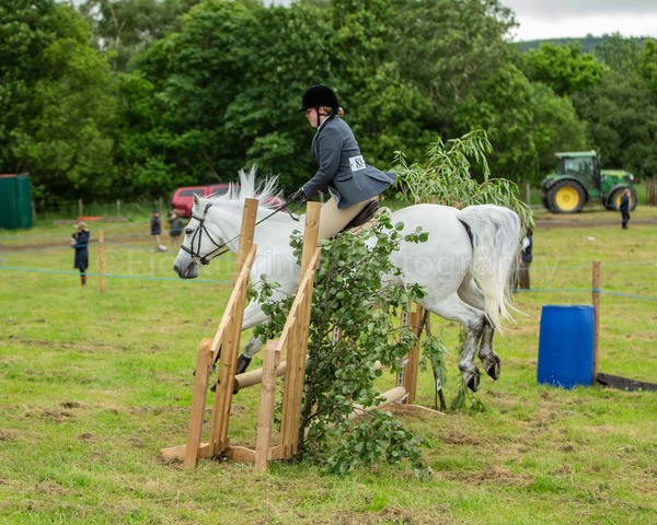 Dunblane show-244 - Dunblane and Doune Show Ring 1