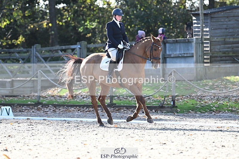 231110-122209-00670 - Cls 3 Novice 22