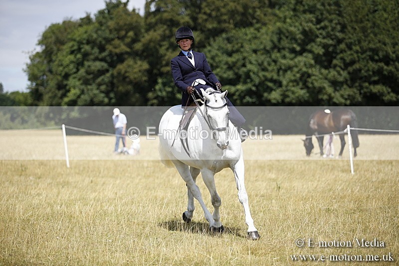 _C7A0252 - Side Saddle Classes BVRC Show 2018