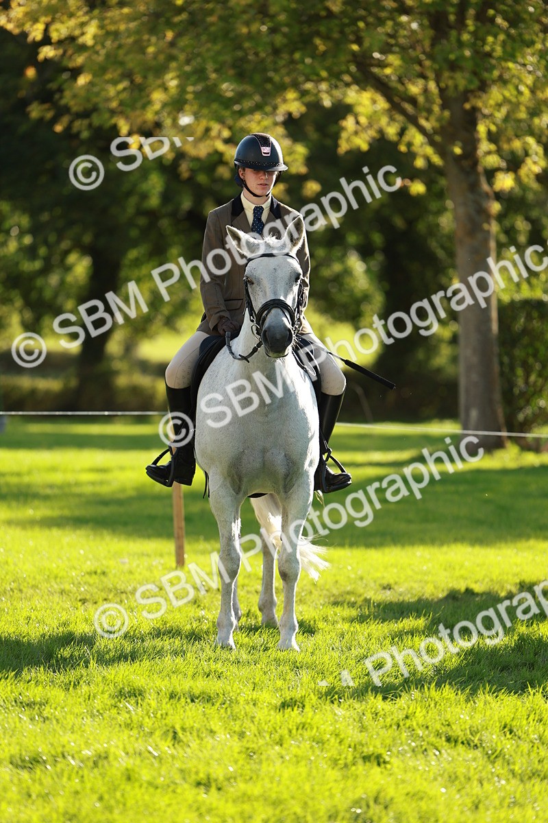 SBM_28705 - S7 - Novice & Newcomer Ridden Pony