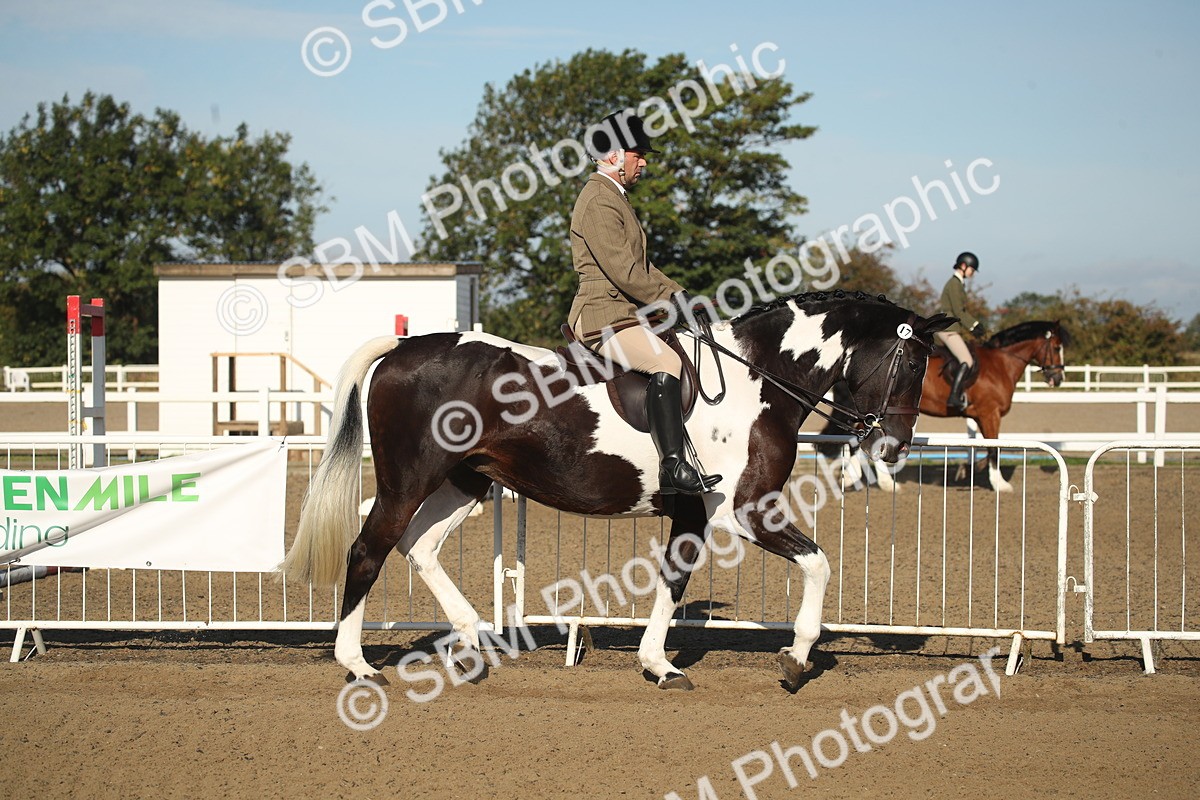 SBM_11261 - Class 501 -Riding Club Pony