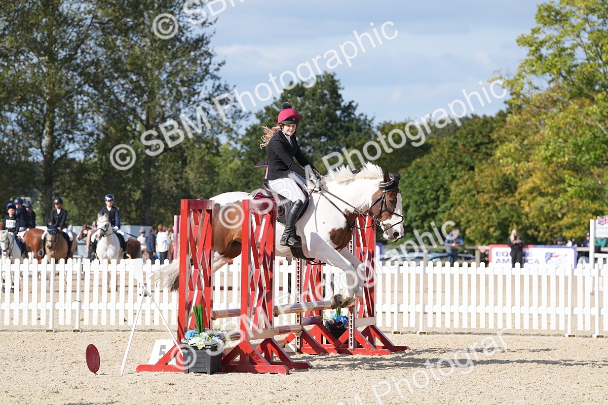 SBM_48668 - J22 - Junior Horse 65cm Championship