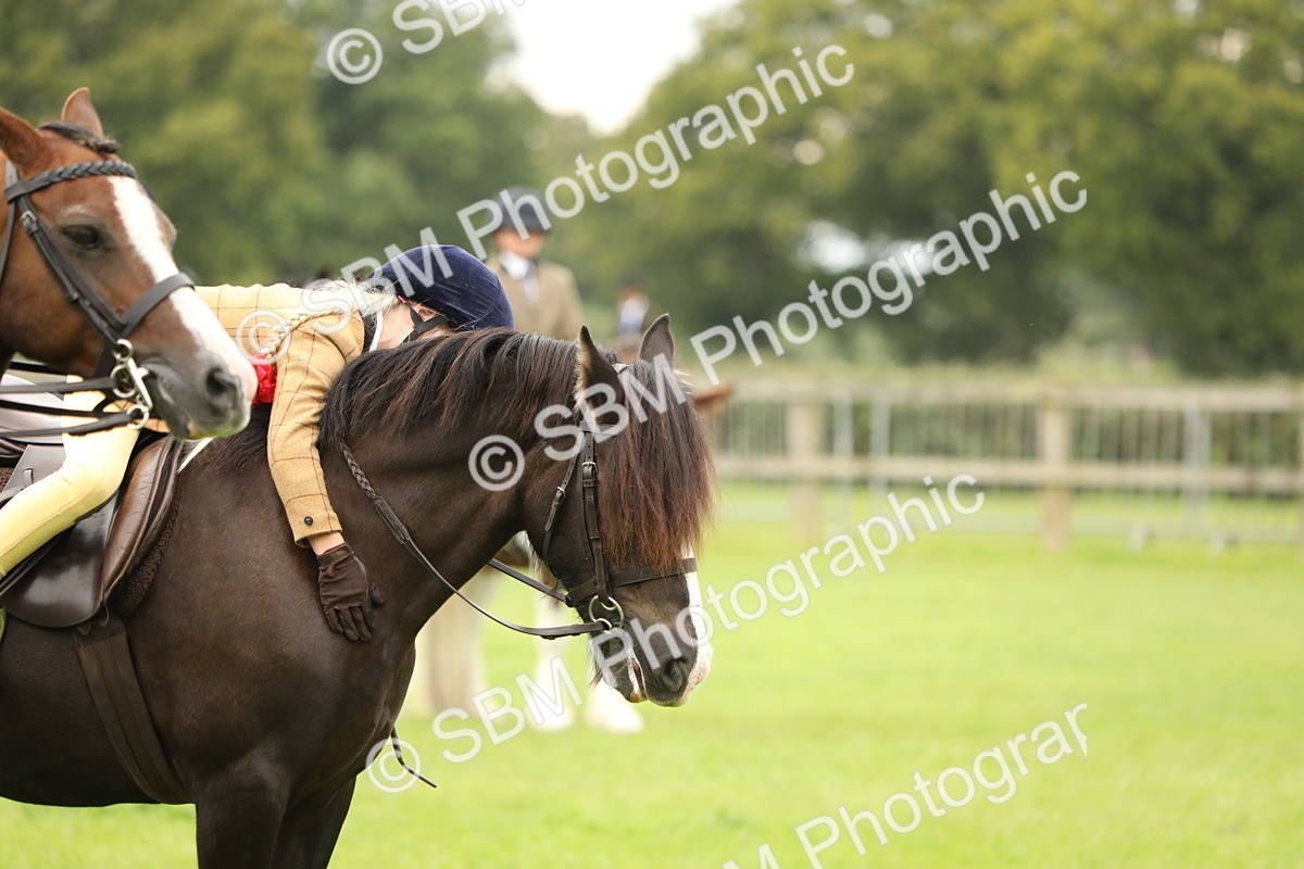 SBM_71388 - S41 - Ridden Equitation (Best Rider)