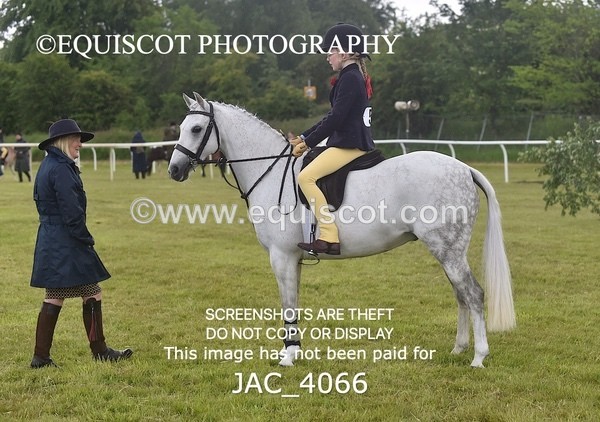 JAC_4066 - 40CM WORKING HUNTER