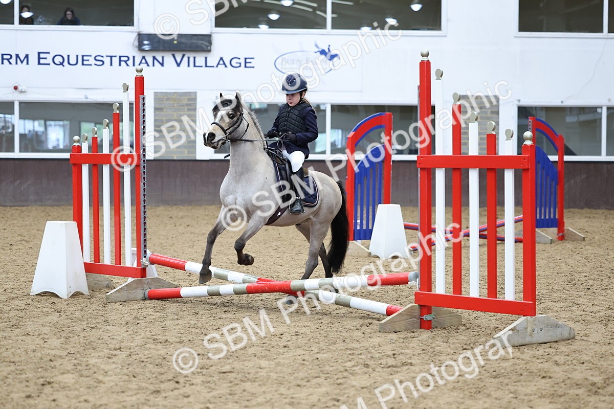 SBM_007024 - Class 1 - 40cm showjumping