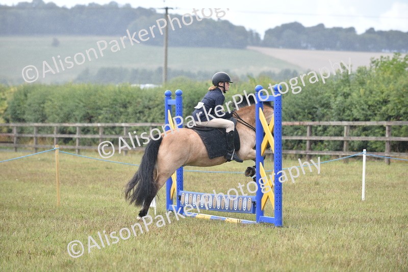 20250831-1883 - Class 9 - Absolute Novice 45cm