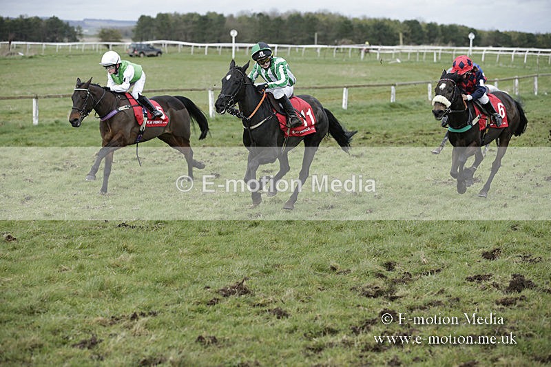 PtP 150320 0763 - New Forest Point-to-Point Larkhill 15/03/20