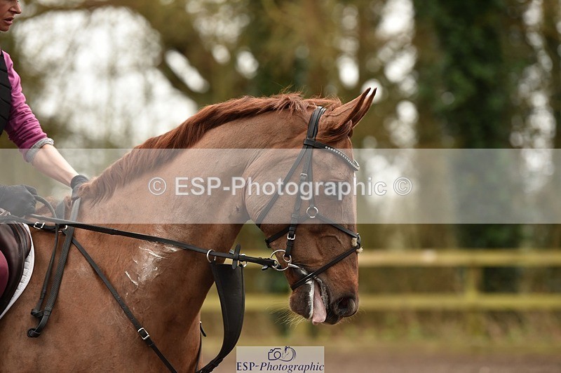 240217-120346-00662 - XC 11 to 12