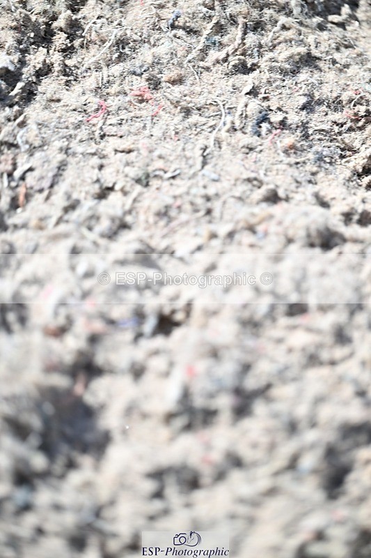 250924-131743-00397 - Cls 4 Newcomers and 1.10m Open