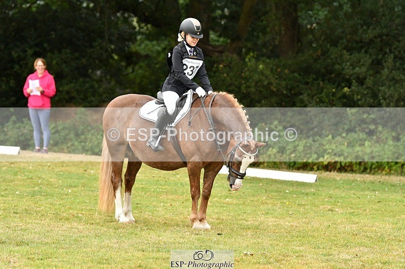 250820A-121753-05548 - 12 to 13.00