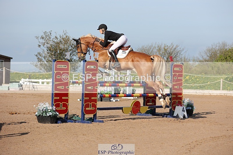 250427-085522-14662 - Cls 28 Young Horse 5yr old